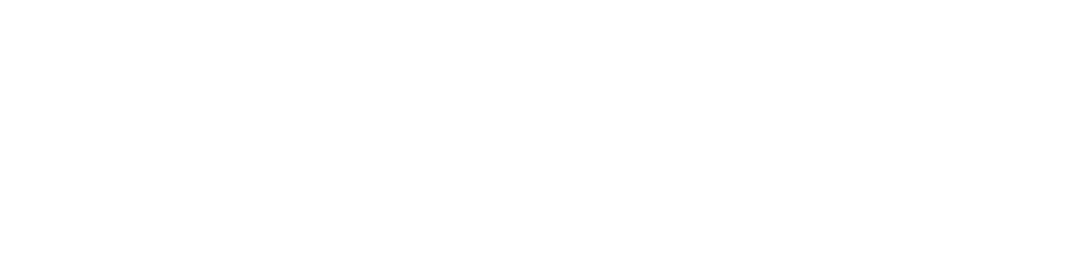 Idonneo